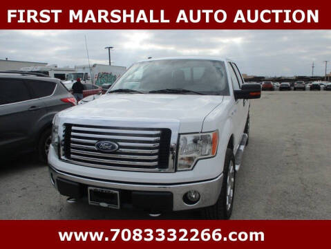 2010 Ford F-150 for sale at First Marshall Auto Auction in Harvey IL