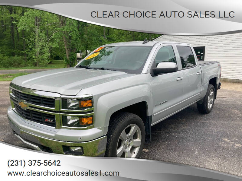 2015 Chevrolet Silverado 1500 for sale at Clear Choice Auto Sales LLC in Twin Lake MI