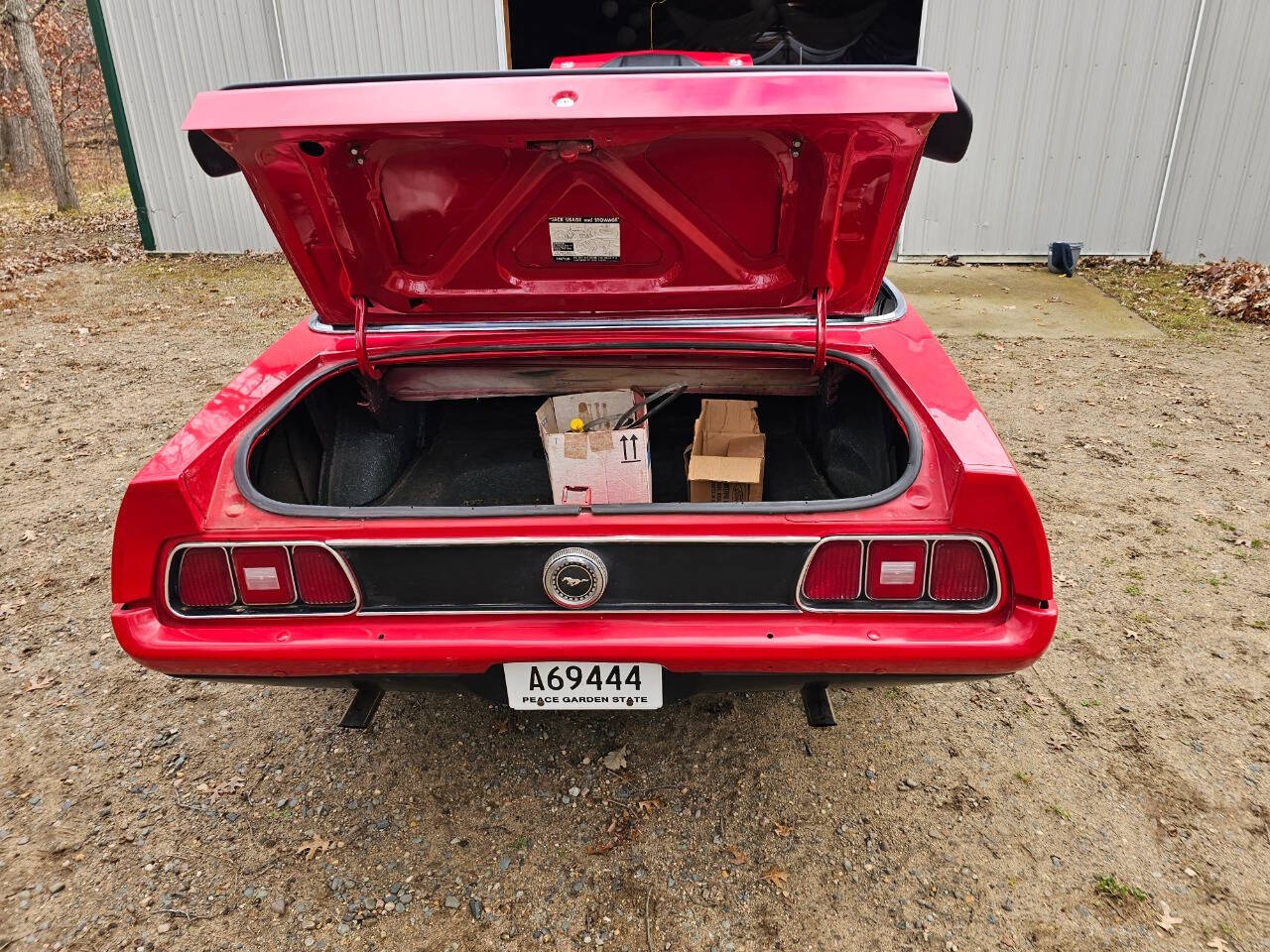 1971 Ford Mustang 192