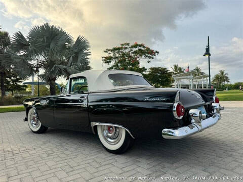 1955 Ford Thunderbird