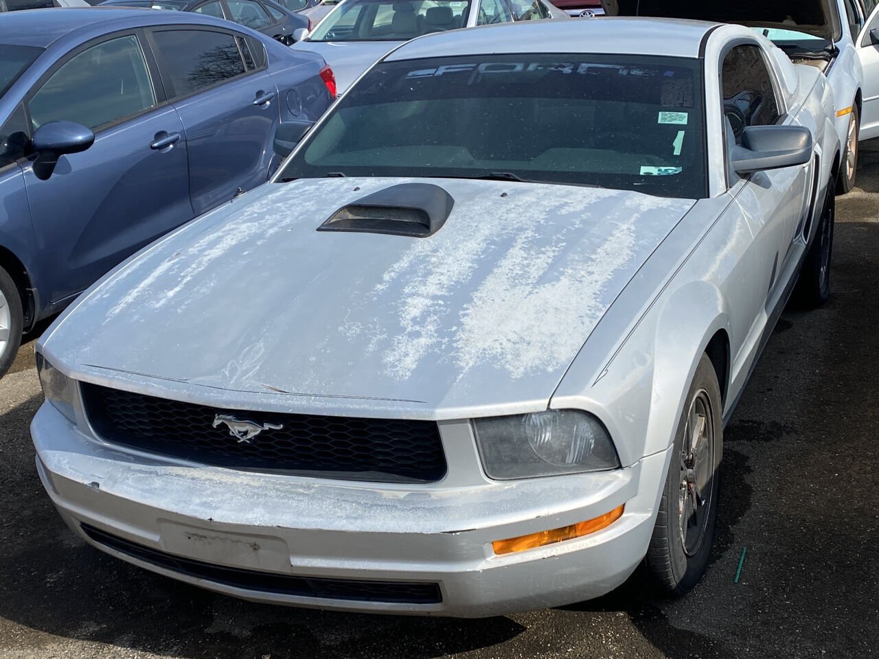 2005 Ford Mustang V6 Deluxe photo