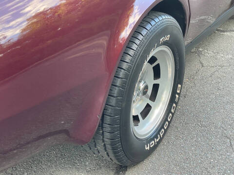 1981 Chevrolet Corvette