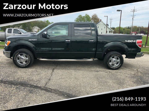 2013 Ford F-150 for sale at Zarzour Motors in Chesterland OH