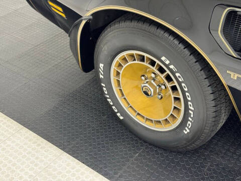 1981 Pontiac Firebird Trans Am