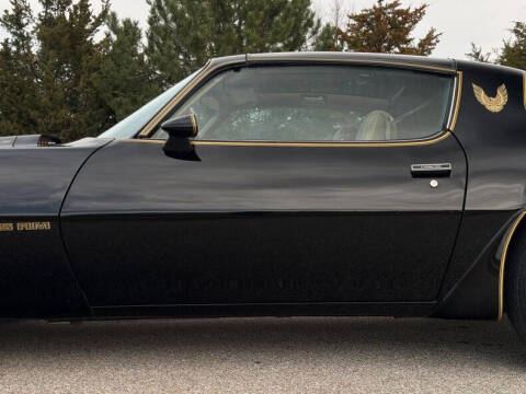 1981 Pontiac Firebird Trans Am