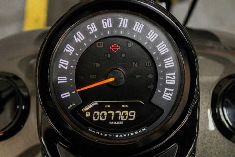 2019 Harley-Davidson Softail Slim