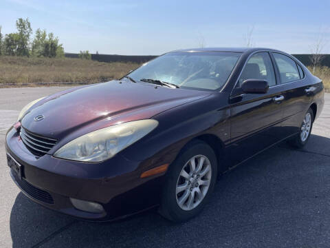 2003 Lexus ES 300 for sale at Twin Cities Auctions in Elk River MN