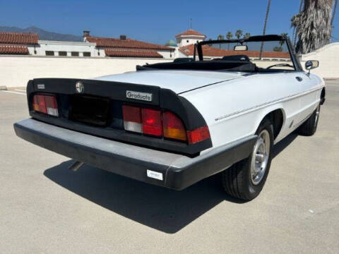 1985 Alfa Romeo Graduate Spider