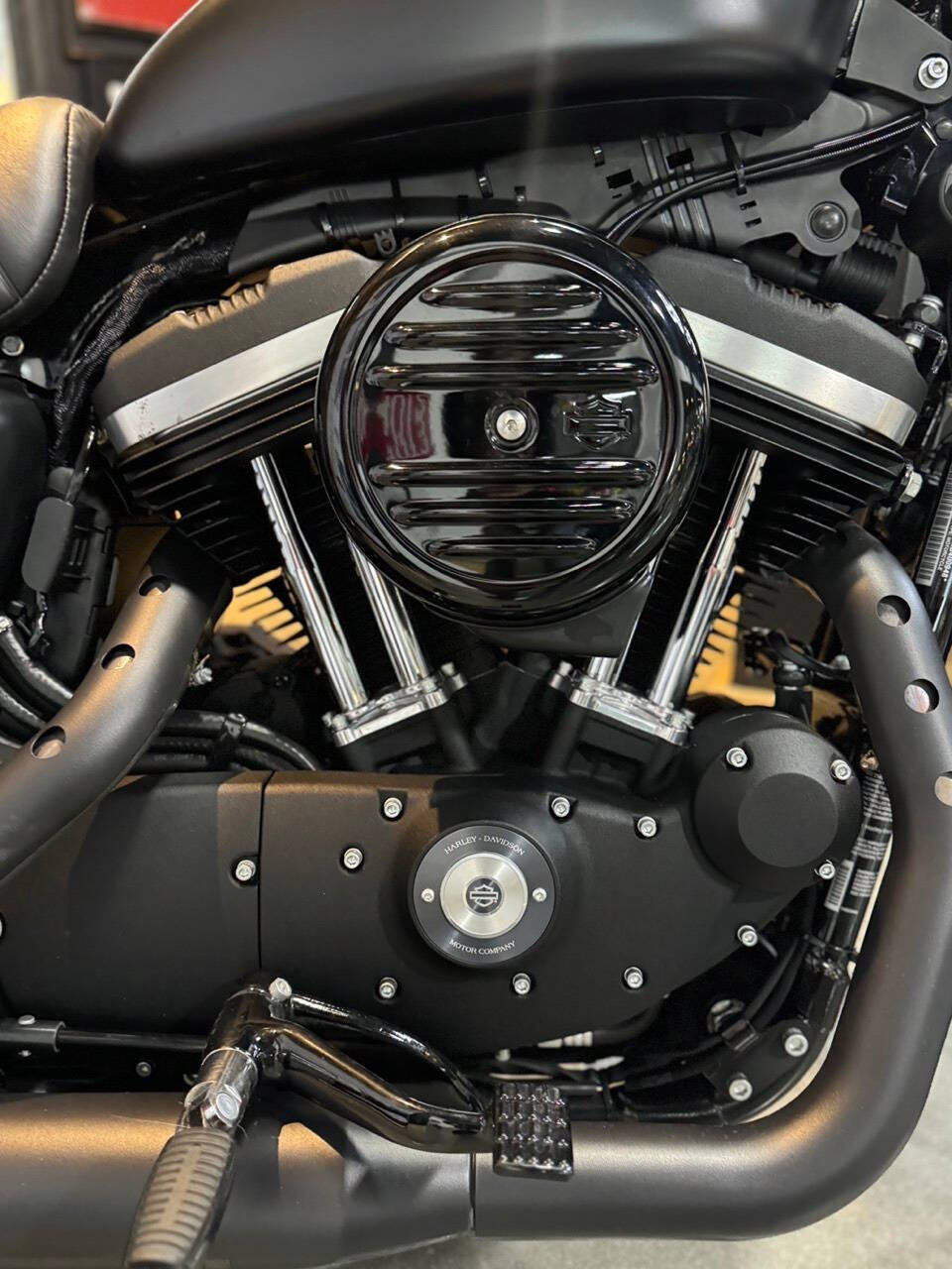 2022 Harley-Davidson XL 883 Sportster for sale at TEXAS MOTORS POWERSPORT in ORLANDO, FL