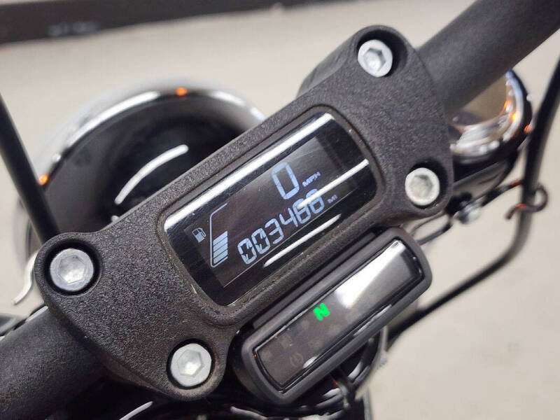 2020 Harley-Davidson Softail