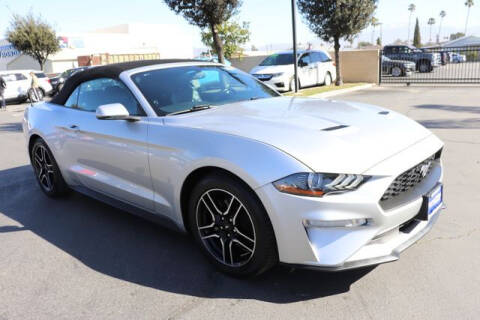 2019 Ford Mustang for sale at DIAMOND VALLEY HONDA in Hemet CA