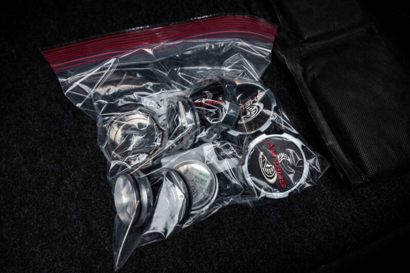 2008 Ford Shelby GT500