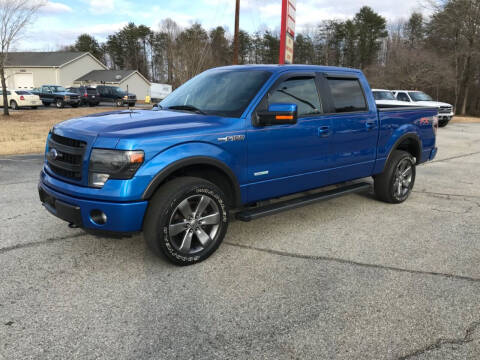 2014 Ford F-150 for sale at Mid Atlantic Auto Sales Network LLC in Summerfield NC