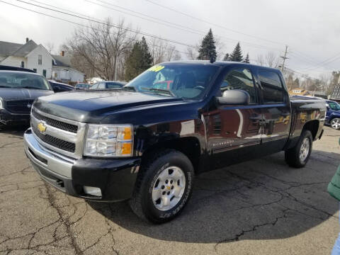 2010 Chevrolet Silverado 1500 for sale at DALE'S AUTO INC in Mount Clemens MI