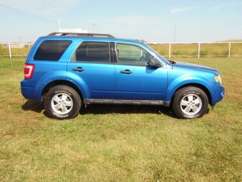 2011 Ford Escape XLT