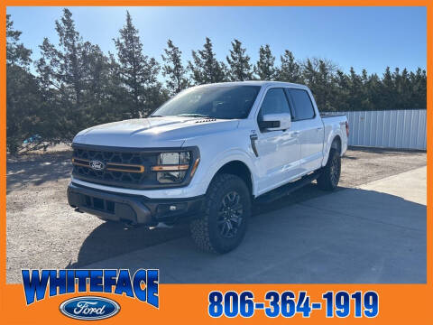 2025 Ford F-150 for sale at Whiteface Ford in Hereford TX