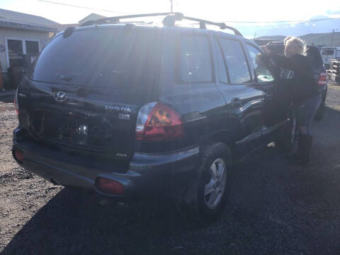 2004 Hyundai Santa Fe for sale at Troy's Auto Sales in Dornsife PA