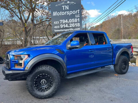 2017 Ford F-150 for sale at TN Motorsport LLC in Kingsport TN