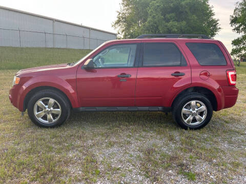 2011 Ford Escape XLT