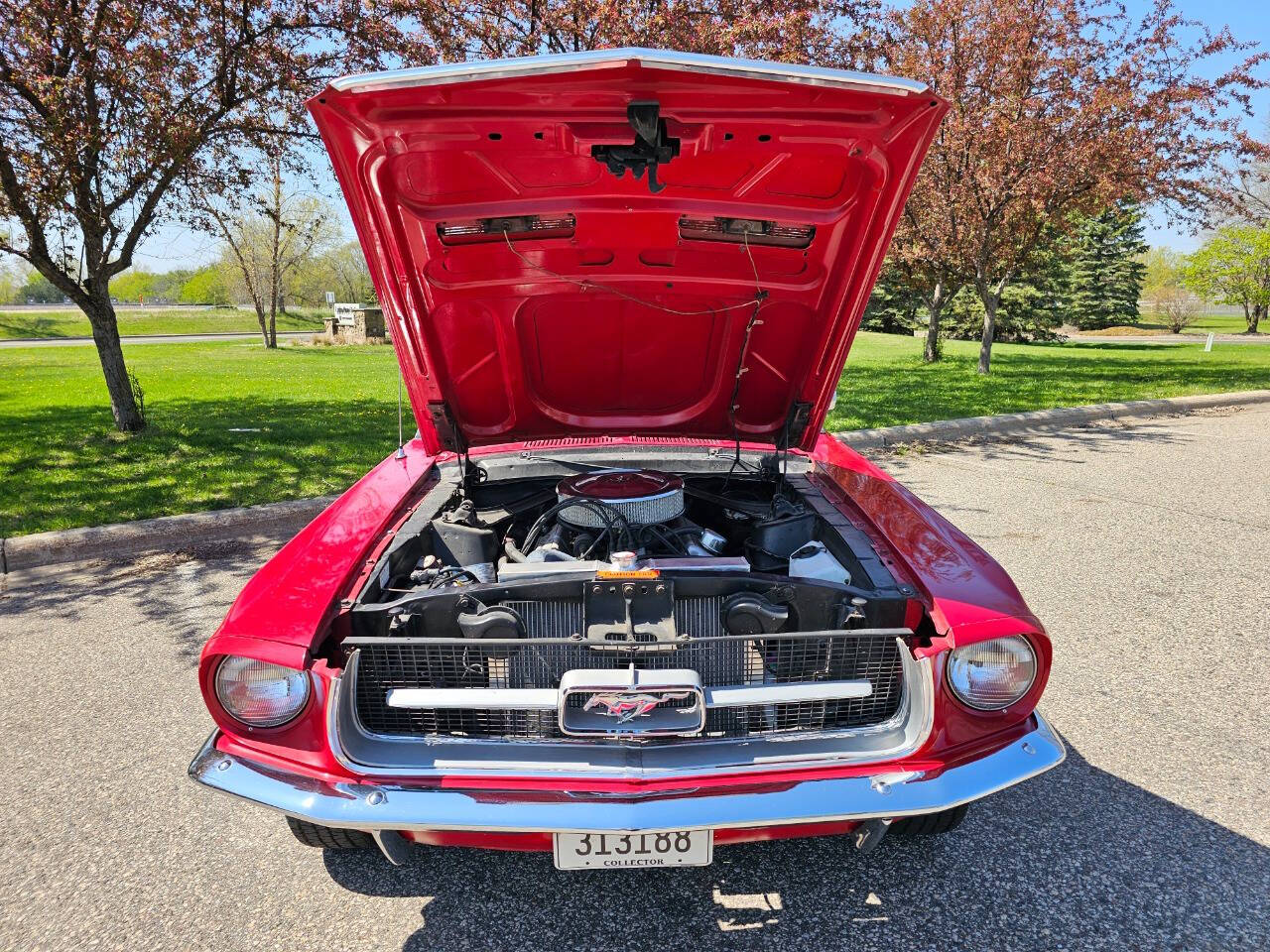 1968 Ford Mustang 238