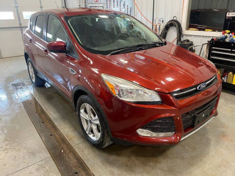 2015 Ford Escape for sale at RDJ Auto Sales in Kerkhoven MN