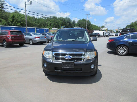 2011 Ford Escape XLT