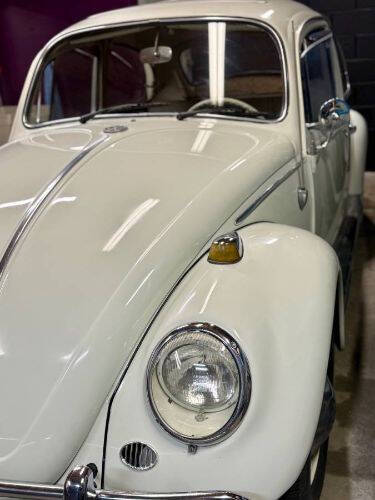 1965 Volkswagen Beetle