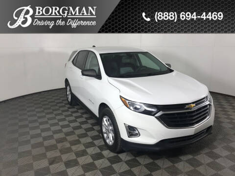 2019 Chevrolet Equinox for sale at Everyone's Financed At Borgman - BORGMAN OF HOLLAND LLC in Holland MI