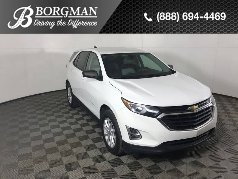 2019 Chevrolet Equinox for sale at BORGMAN OF HOLLAND LLC in Holland MI