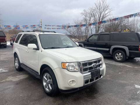 2011 Ford Escape Limited