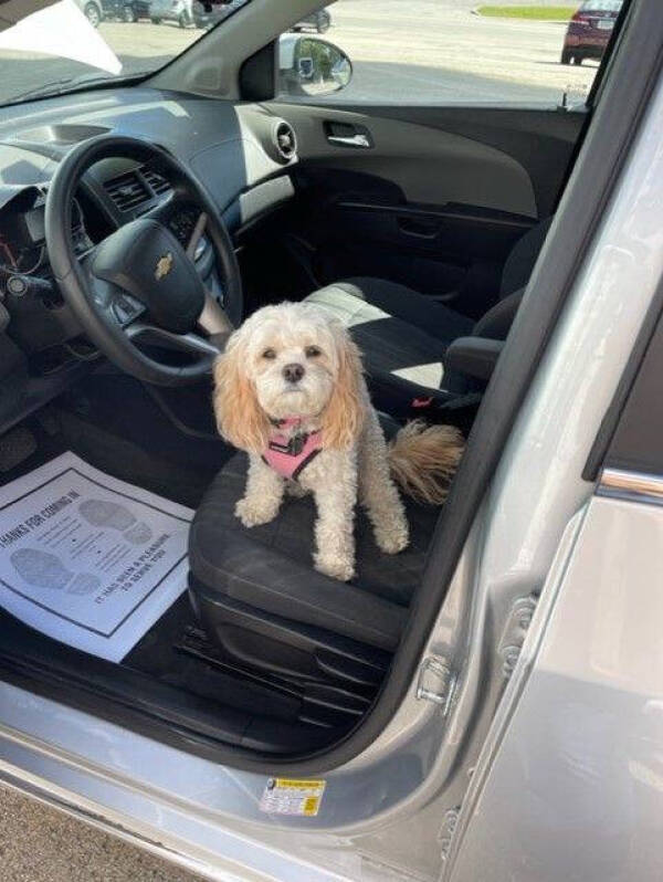 2021 Chevrolet Trax LS