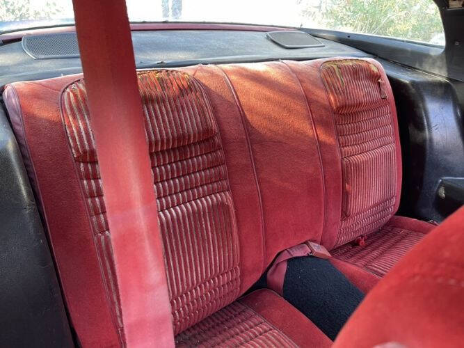 1981 Pontiac Firebird Espirit