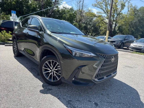 2025 Lexus NX 250