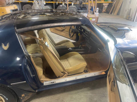 1981 Pontiac Firebird Trans Am