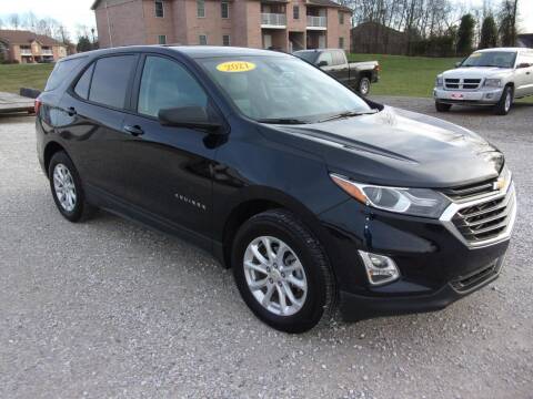 2021 Chevrolet Equinox for sale at BABCOCK MOTORS INC in Orleans IN