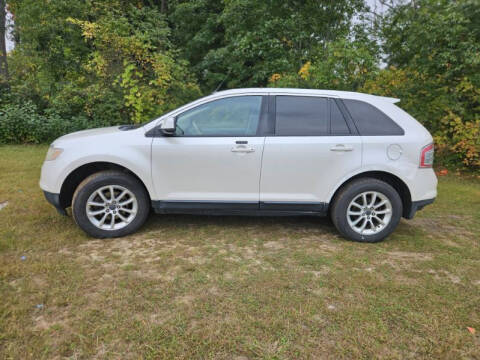 2009 Ford Edge for sale at Expressway Auto Auction in Howard City MI