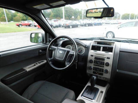 2010 Ford Escape XLT