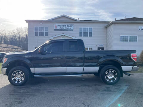 2014 Ford F-150 for sale at SOUTHERN SELECT AUTO SALES in Medina OH