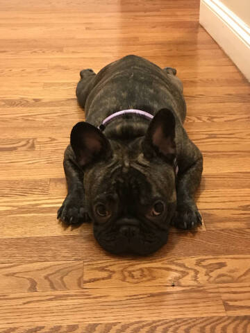 2004 Chrysler Crossfire