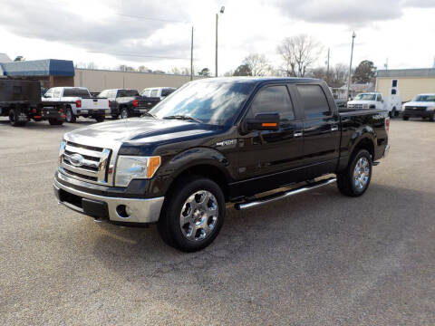 2009 Ford F-150 for sale at Young's Motor Company Inc. in Benson NC