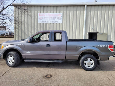 2011 Ford F-150 for sale at C & C Wholesale in Cleveland OH