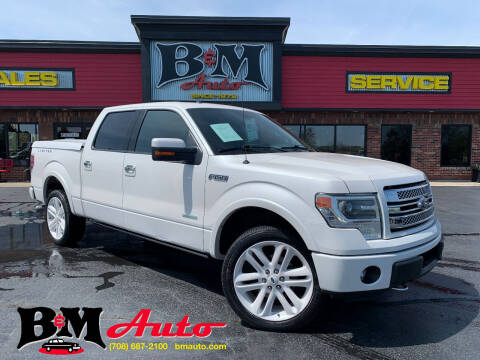 2013 Ford F-150 for sale at B & M Auto Sales Inc. in Oak Forest IL