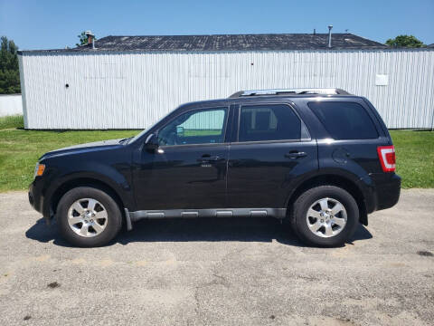 2011 Ford Escape for sale at Steve Winnie Auto Sales in Edmore MI
