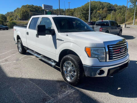 2010 Ford F-150 for sale at Car City Automotive in Louisa KY