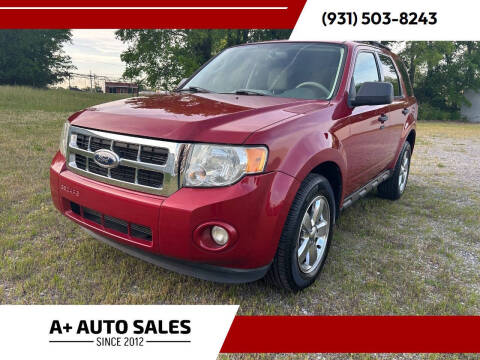 2011 Ford Escape XLT