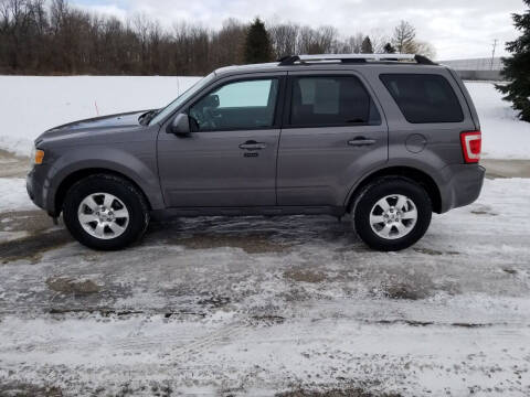 2011 Ford Escape for sale at Motors Inc in Mason MI