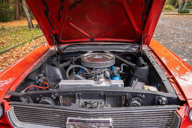 1966 Ford Mustang