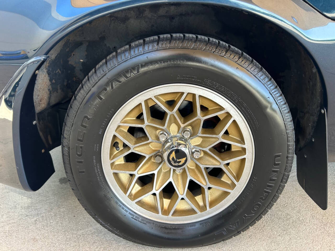 1981 Pontiac Firebird 23