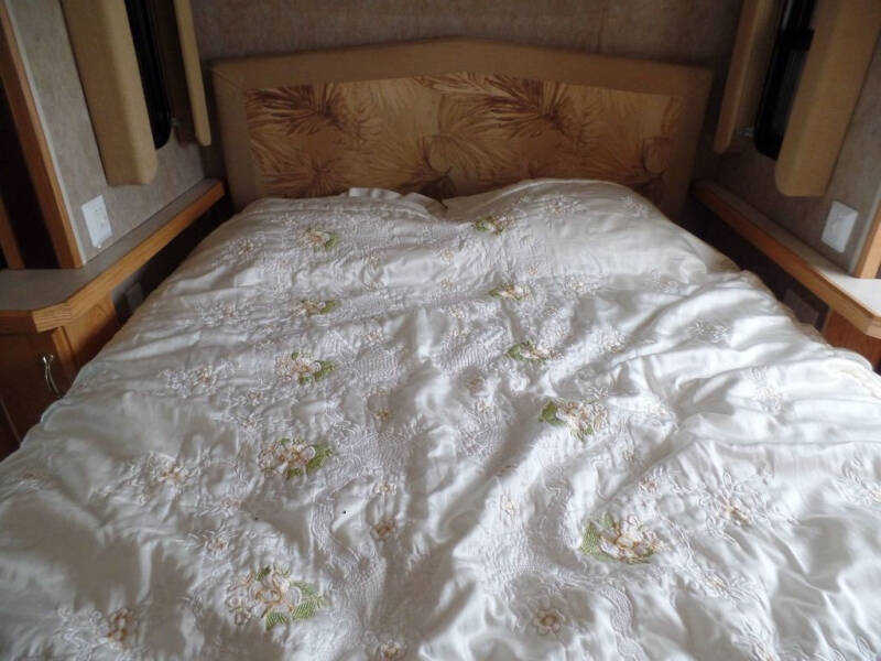 2006 Ford Motorhome Chassis