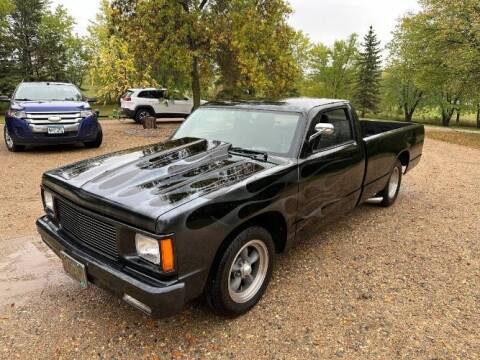 1985 Chevrolet S-10 for sale at Classic Car Deals in Cadillac MI